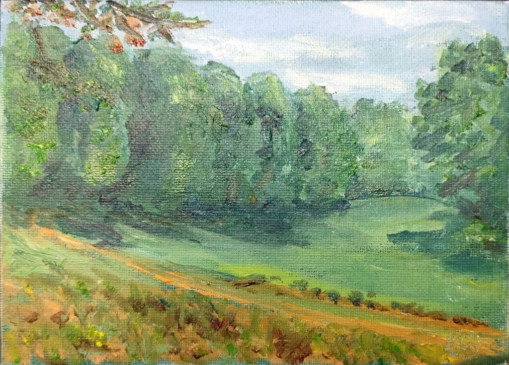 Tal umgeben von Wald